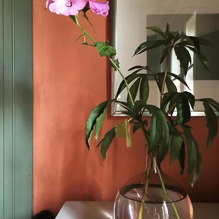 Vanhakylae Gardin Vaeentupa Sastamala